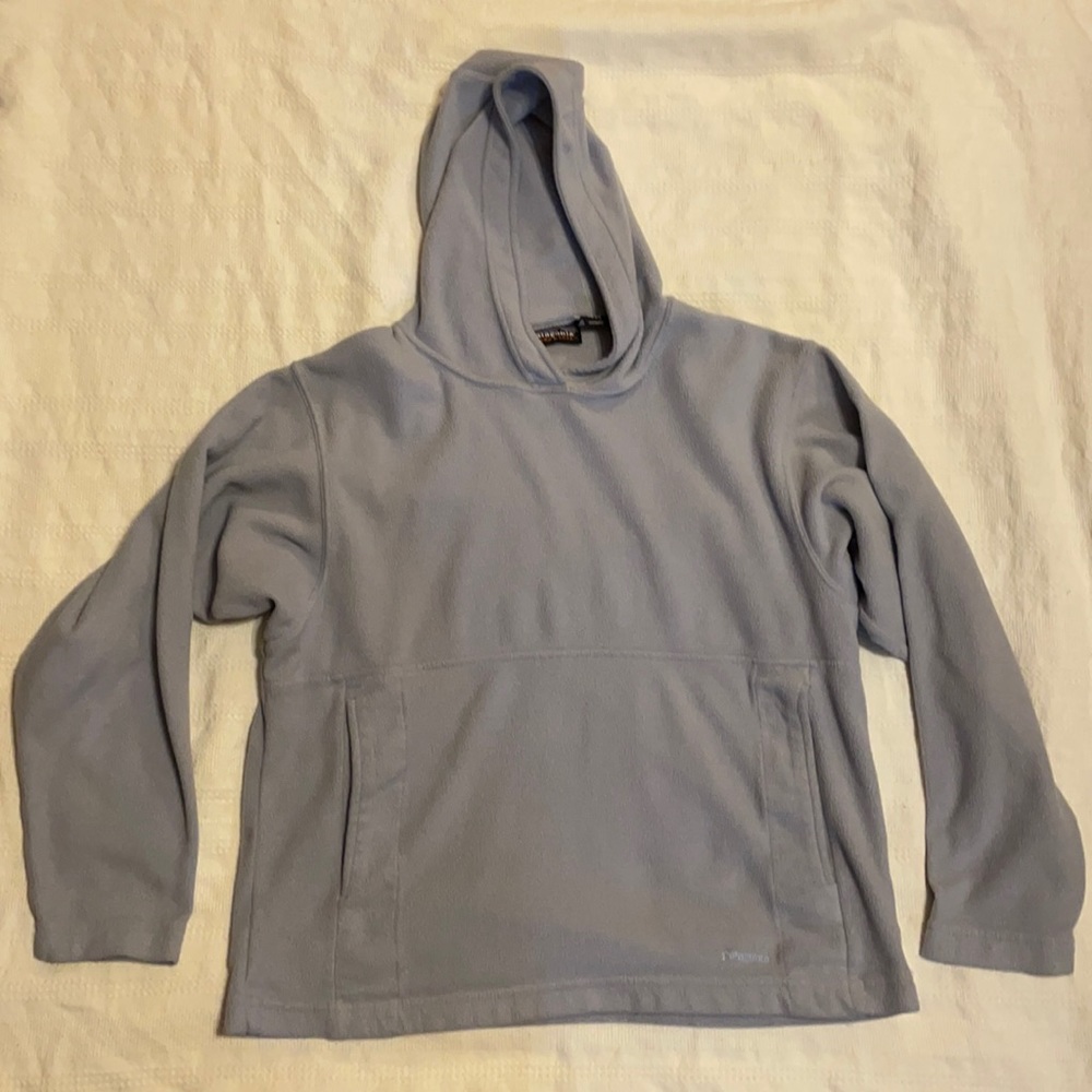 Vintage Patagonia micro d-luxe fleece pullover hoodie